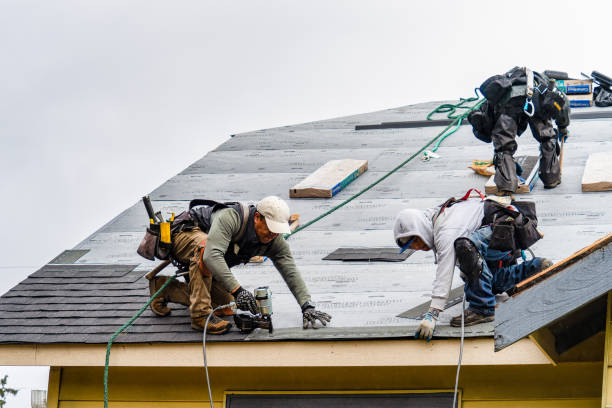 Professional Gutter Installation technician working in Hayfork, CA